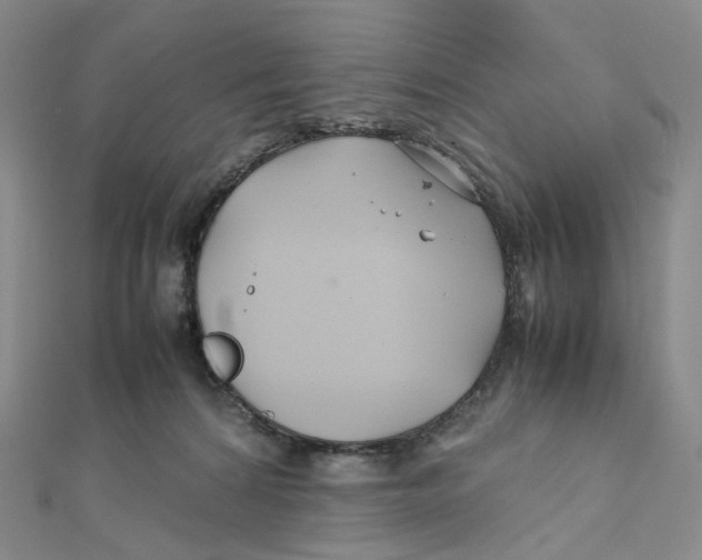 X0000112070224200909011029
