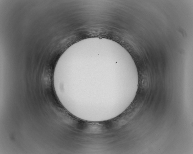X0000112070226200909011029