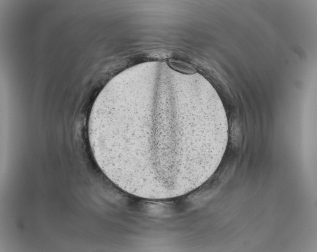 X0000112070229200909011029