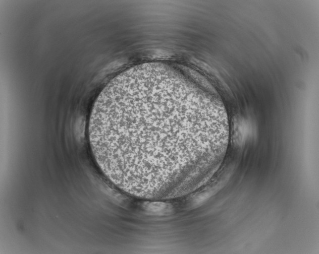 X0000112070230200909011029