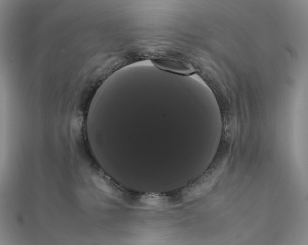 X0000112070231200909011029