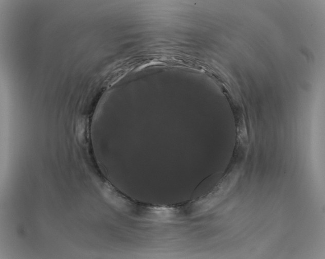 X0000112070233200909011029