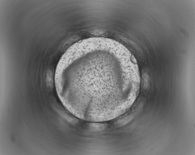X0000112070234200909011029