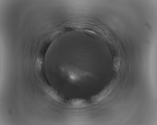 X0000112070235200909011029