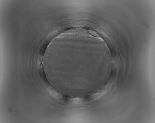 X0000112070237200909011029
