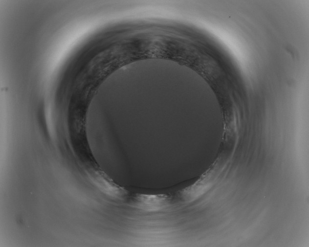 X0000112070239200909011029