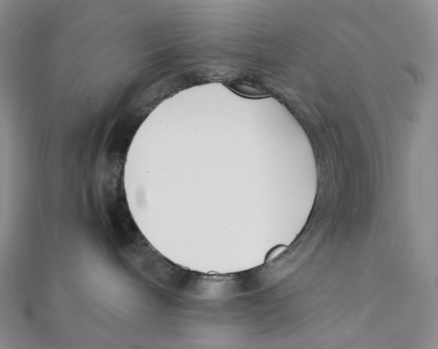 X0000112070240200909011029