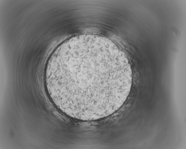 X0000112070241200909011029