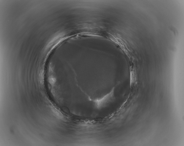X0000112070243200909011029