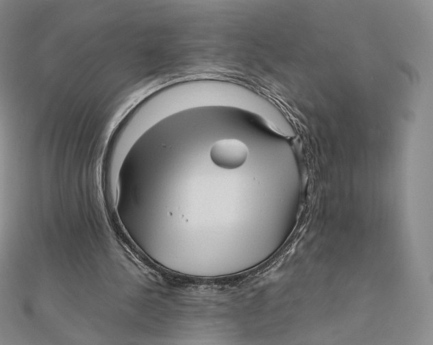 X0000112070244200909011029