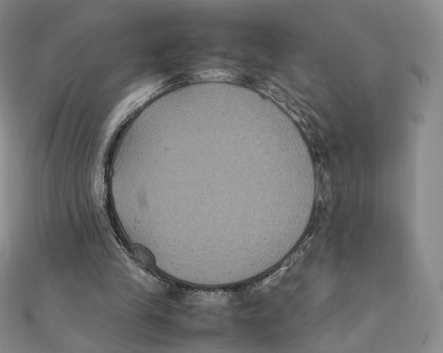 X0000112070245200909011029