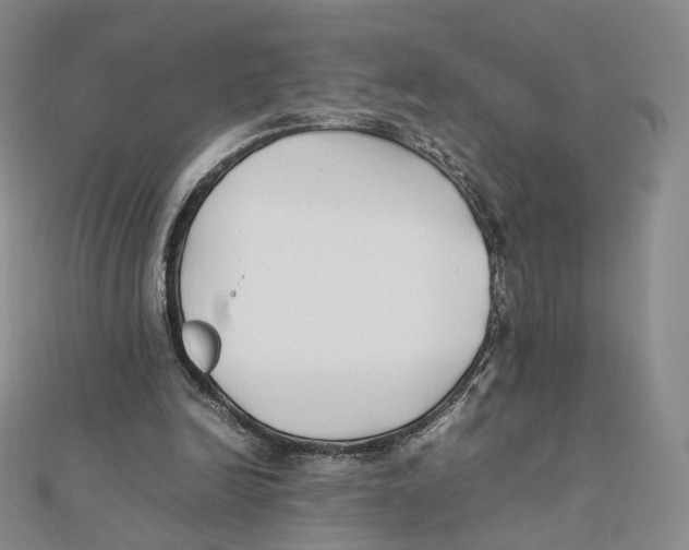 X0000112070246200909011029