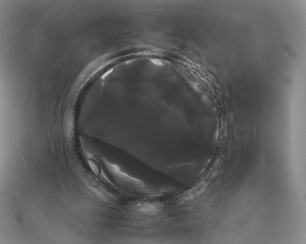 X0000112070247200909011029