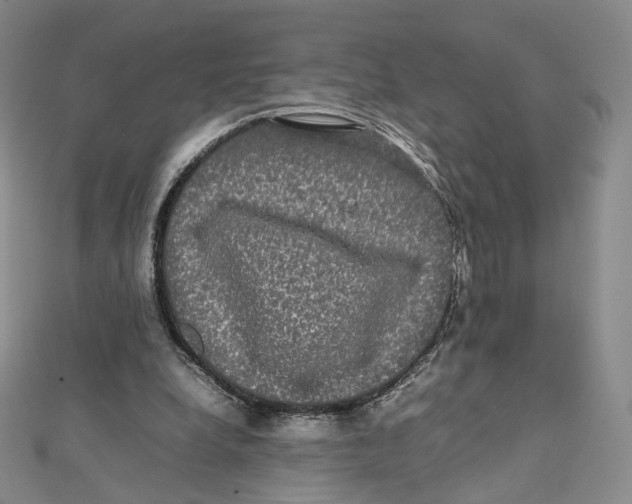 X0000112070248200909011029