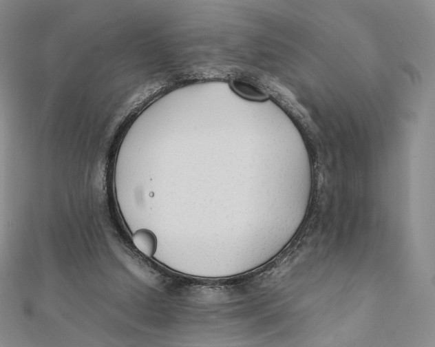 X0000112070250200909011029