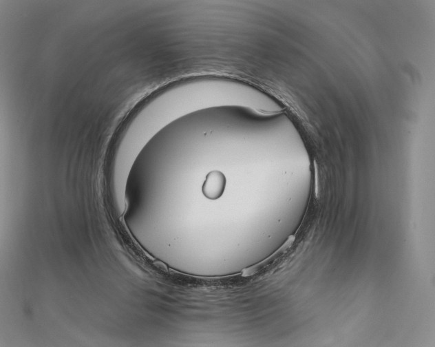 X0000112070252200909011029