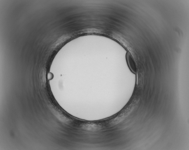 X0000112070253200909011029