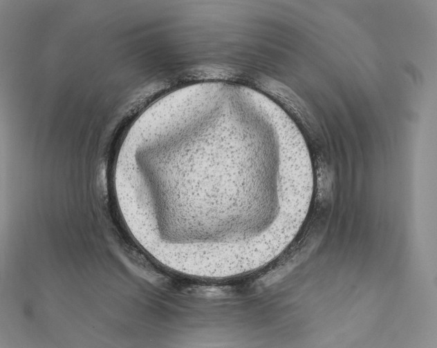 X0000112070254200909011029