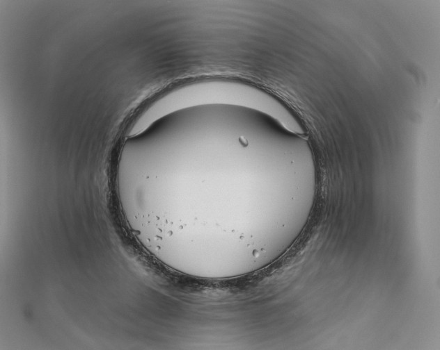 X0000112070256200909011029