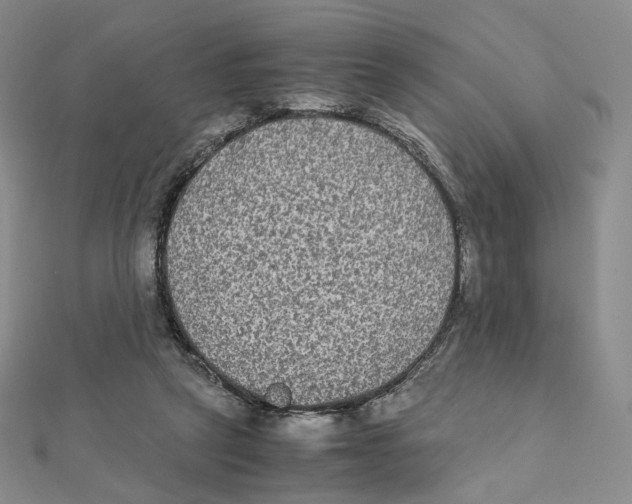 X0000112070257200909011029