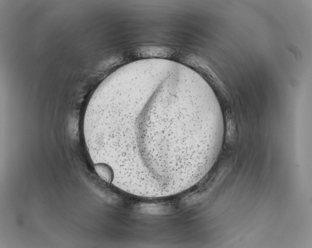 X0000112070259200909011029