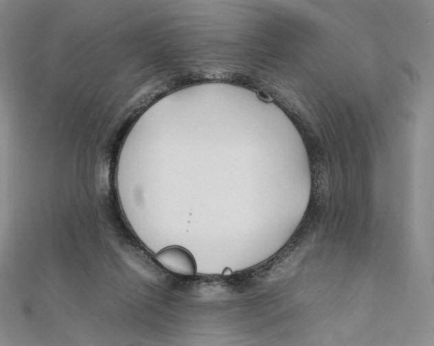 X0000112070262200909011029