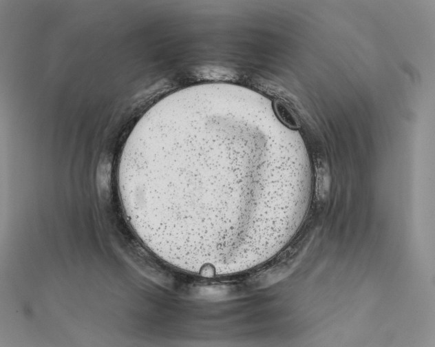 X0000112070263200909011029