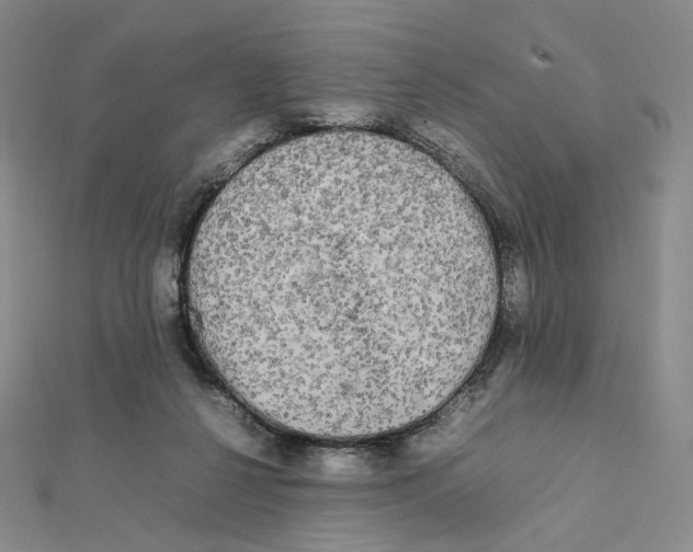 X0000112070264200909011029