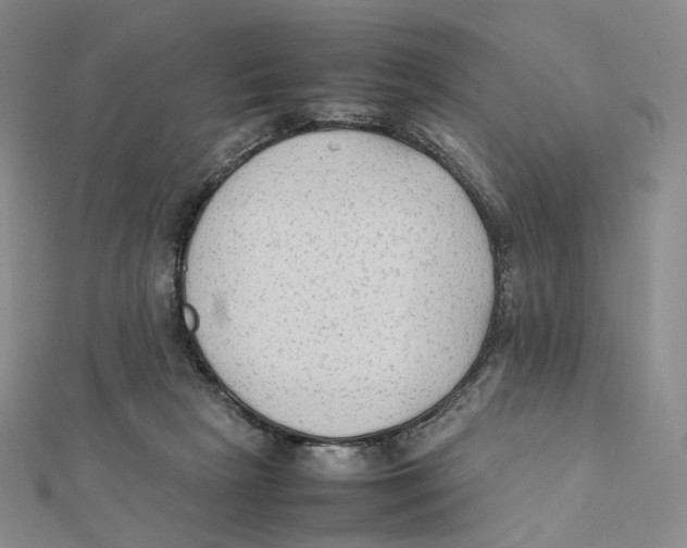 X0000112070265200909011029