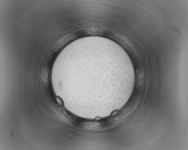 X0000112070266200909011029