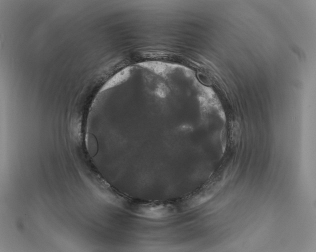 X0000112070267200909011029