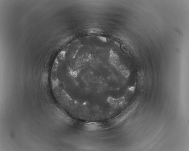 X0000112070269200909011029