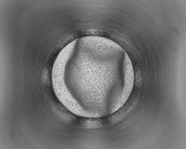 X0000112070270200909011029