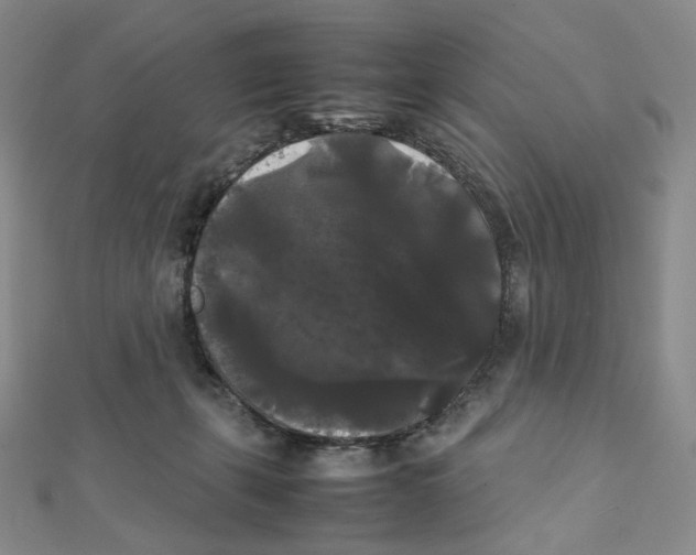 X0000112070271200909011029