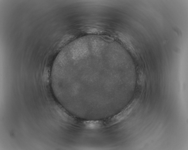 X0000112070273200909011029