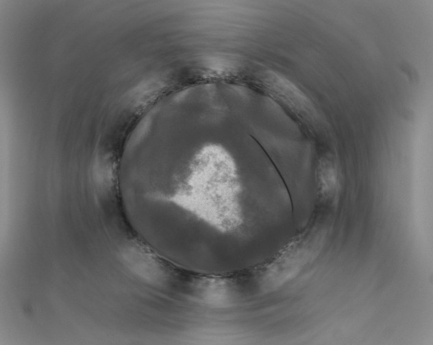 X0000112070276200909011029