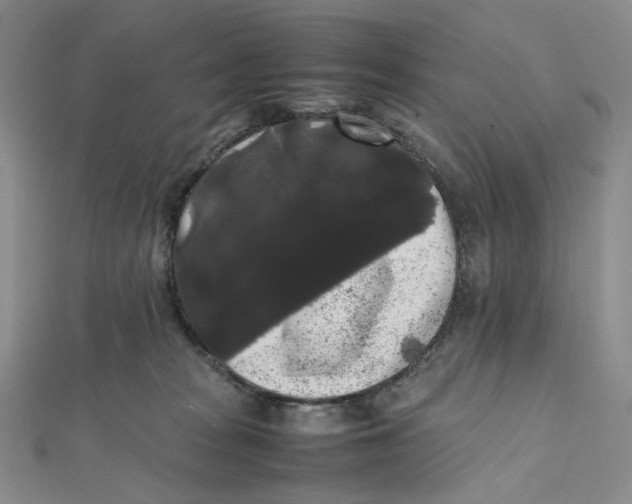 X0000112070277200909011029