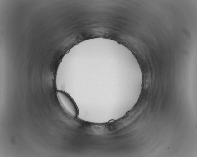 X0000112070279200909011029