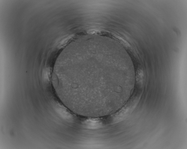 X0000112070280200909011029