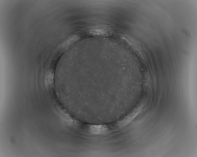 X0000112070281200909011029
