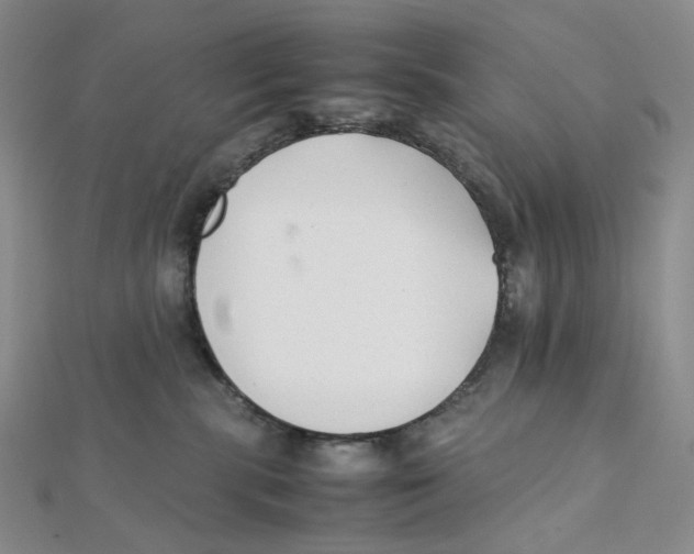 X0000112070283200909011029