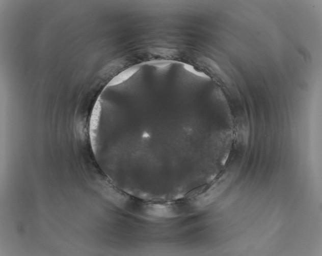 X0000112070285200909011029