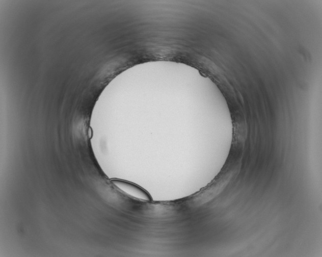 X0000112070286200909011029