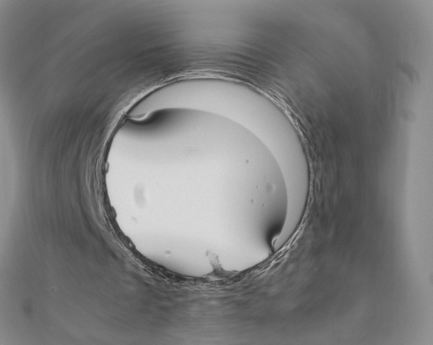 X0000112070289200909011029