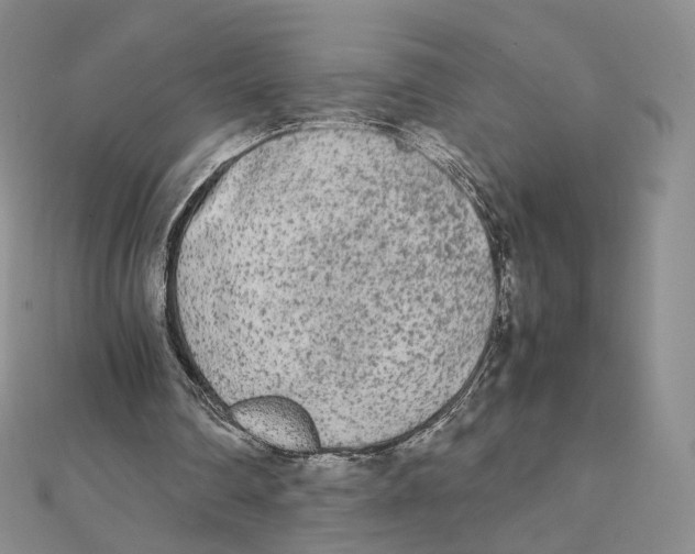 X0000112070290200909011029