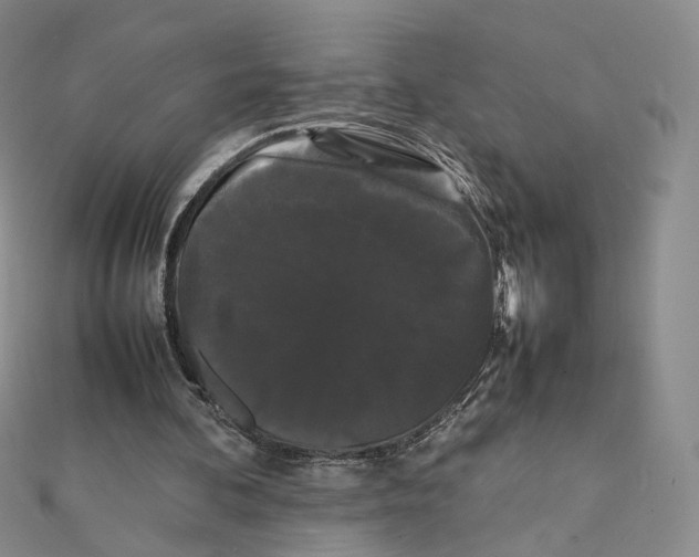 X0000112070292200909011028