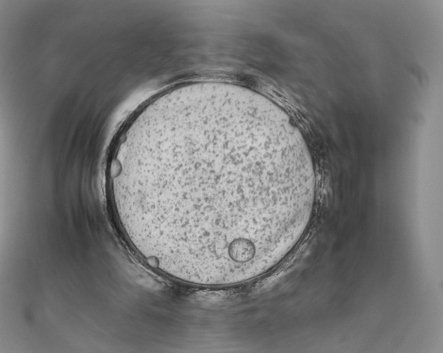X0000112070294200909011028