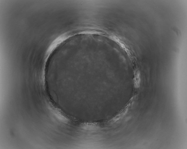 X0000112070296200909011028