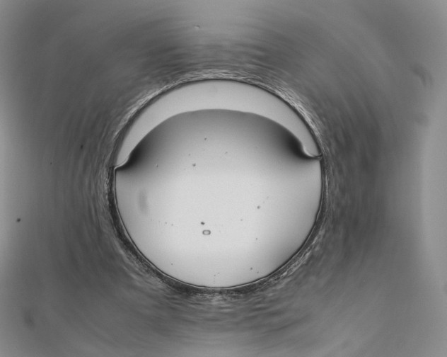 X0000112070297200909011028