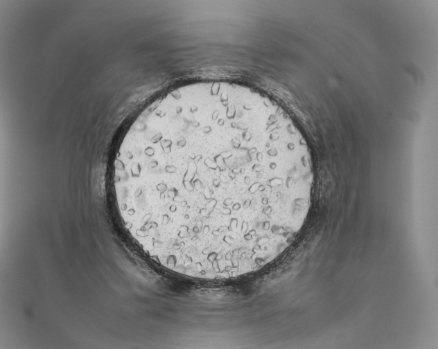 X0000112070299200909011028